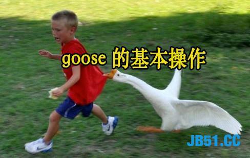 爬虫万金油，一鹅在手，抓遍全球：goose 简介！