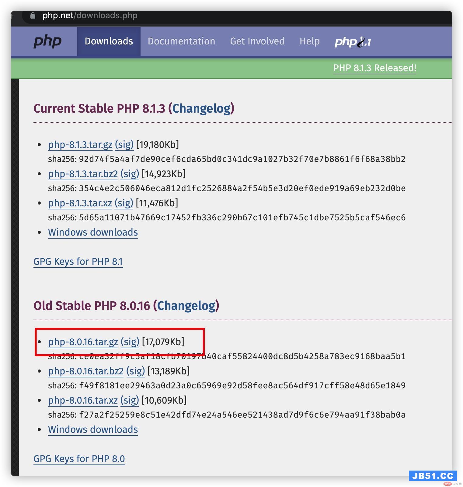 下载PHP 8.0.16 版本