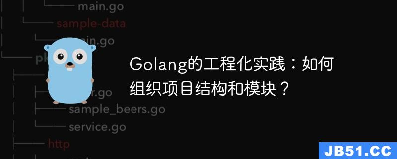 Golang的工程化实践：如何组织项目结构和模块？