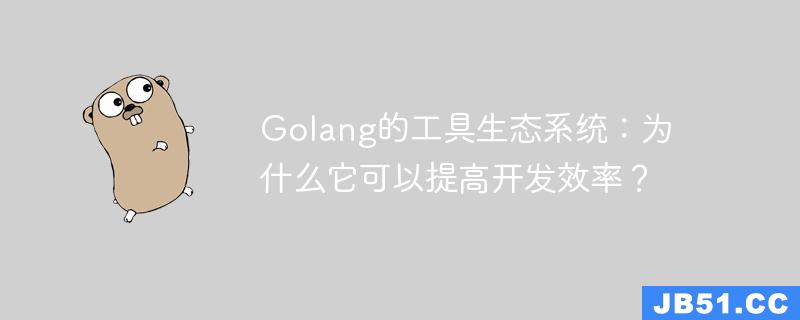 Golang的工具生态系统：为什么它可以提高开发效率？